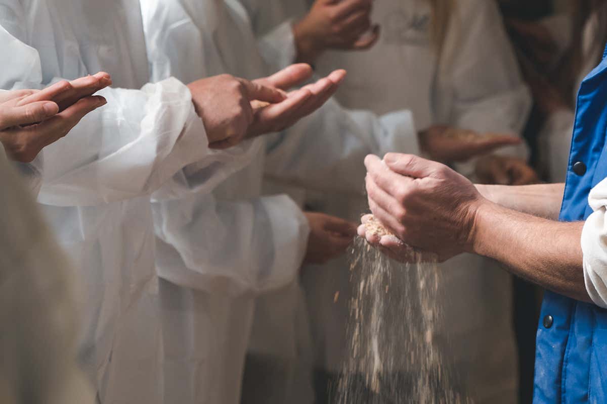 Imparare a fare il pane come i maestri: i corsi per studenti e professionisti