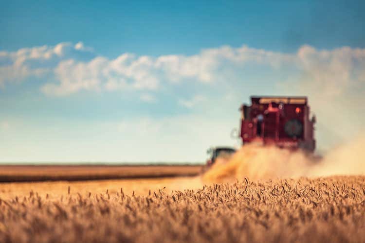 (Grano duro made in Italy, al protocollo si uniscono Assosementi e Compag) (Grano duro made in Italy, al protocollo si uniscono Assosementi e Compag)
