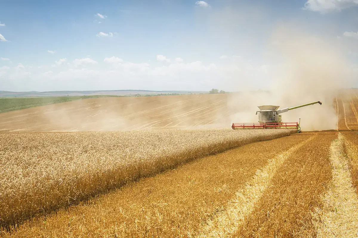 Food security, una questione globale inderogabile