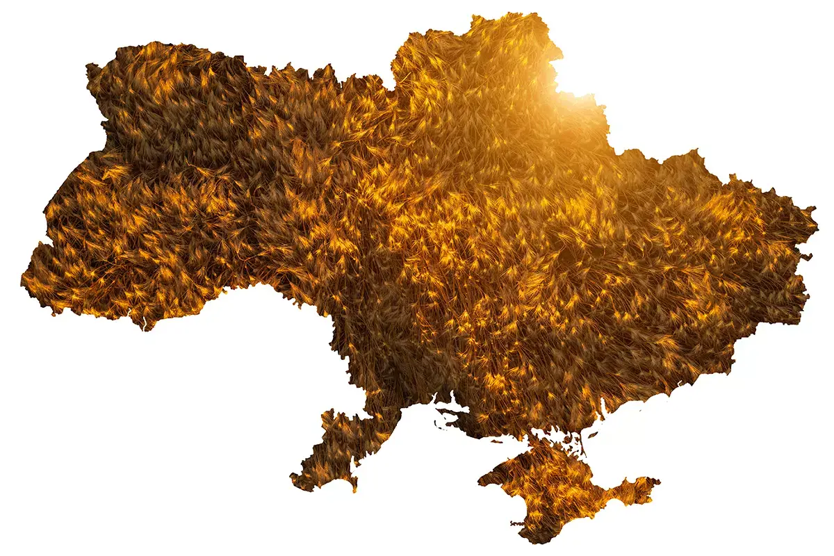Guerra in Ucraina, l'accordo sul grano &egrave; essenziale per sicurezza alimentare 