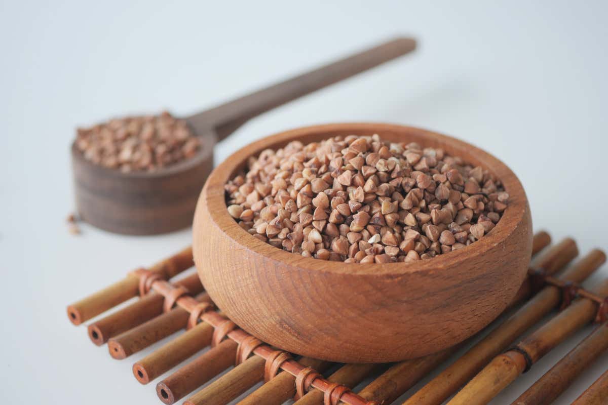 Grano saraceno: proprietà nutrizionali, benefici e controindicazioni