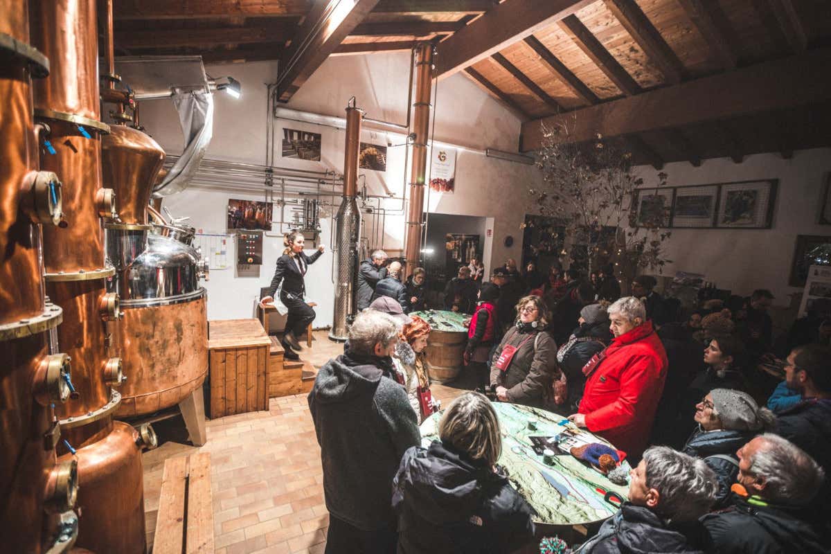 Notte degli alambicchi: a Santa Massenza, un'illuminazione di gusto