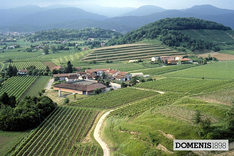 Domenis1898 ha sede a Cividale del Friuli, in provincia di Udine (Le grappe Domenis1898 premiate con un Best Gold e un oro)