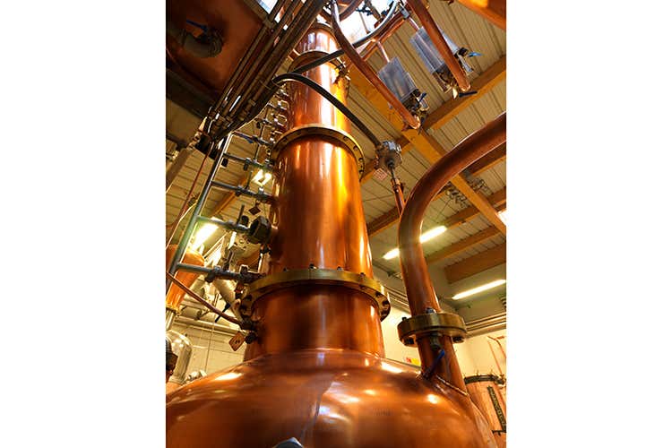 (Grappe Segnana, degustazioni al top con Alto Rilievo e Solera Collezione)