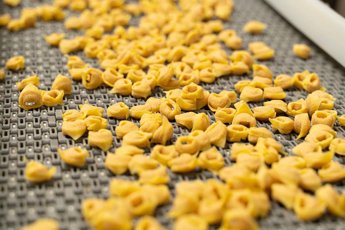 Bologna nel piatto: la pasta fresca e il modello di successo di Gratifico
