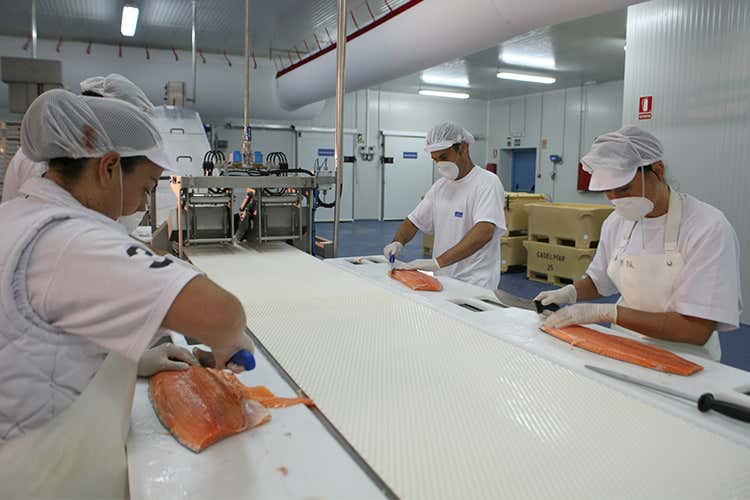 (Greci, soluzioni innovative per la cucina di pesce)