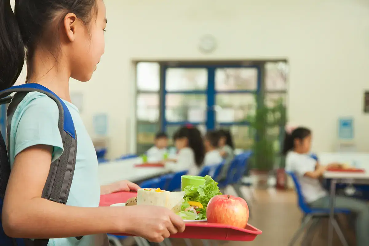 L'estensione del green pass &egrave; iniziata dalle mense scolastiche Green pass, obbligo a tappe: dal 10 ottobre anche per bar e ristoranti?