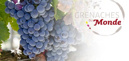 Sei medaglie d’argento ai vini italiani
alla 2ª edizione di Grenaches du Monde