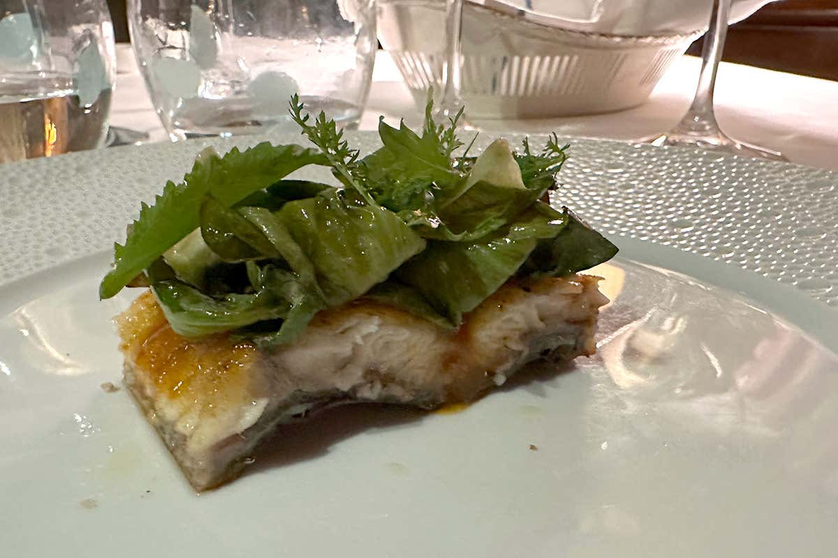 Allo chef's table la creatività di Daniele Turco. Un motivo in più per andare al Gritti