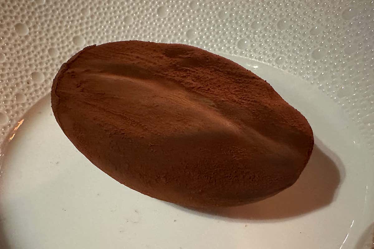 Allo chef's table la creatività di Daniele Turco. Un motivo in più per andare al Gritti