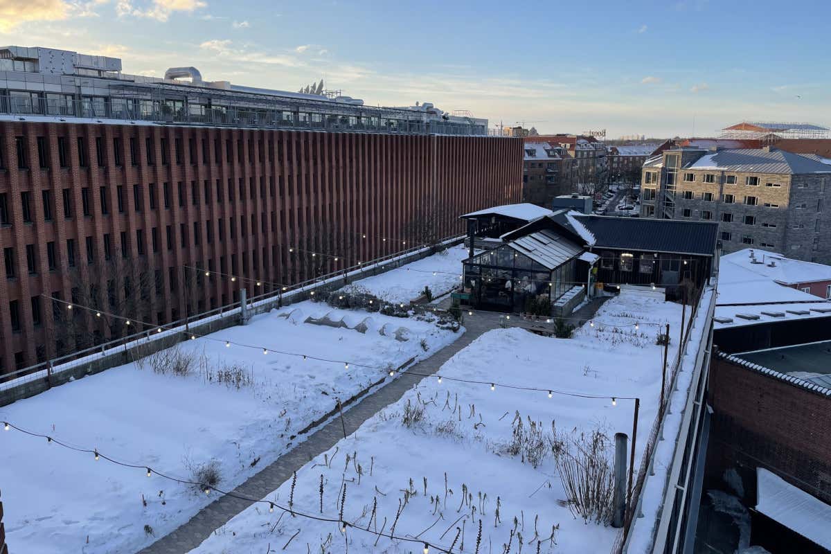 Gro Spiseri si trova nell’orto urbano ØsterGro (la prima fattoria sul tetto in Danimarca)