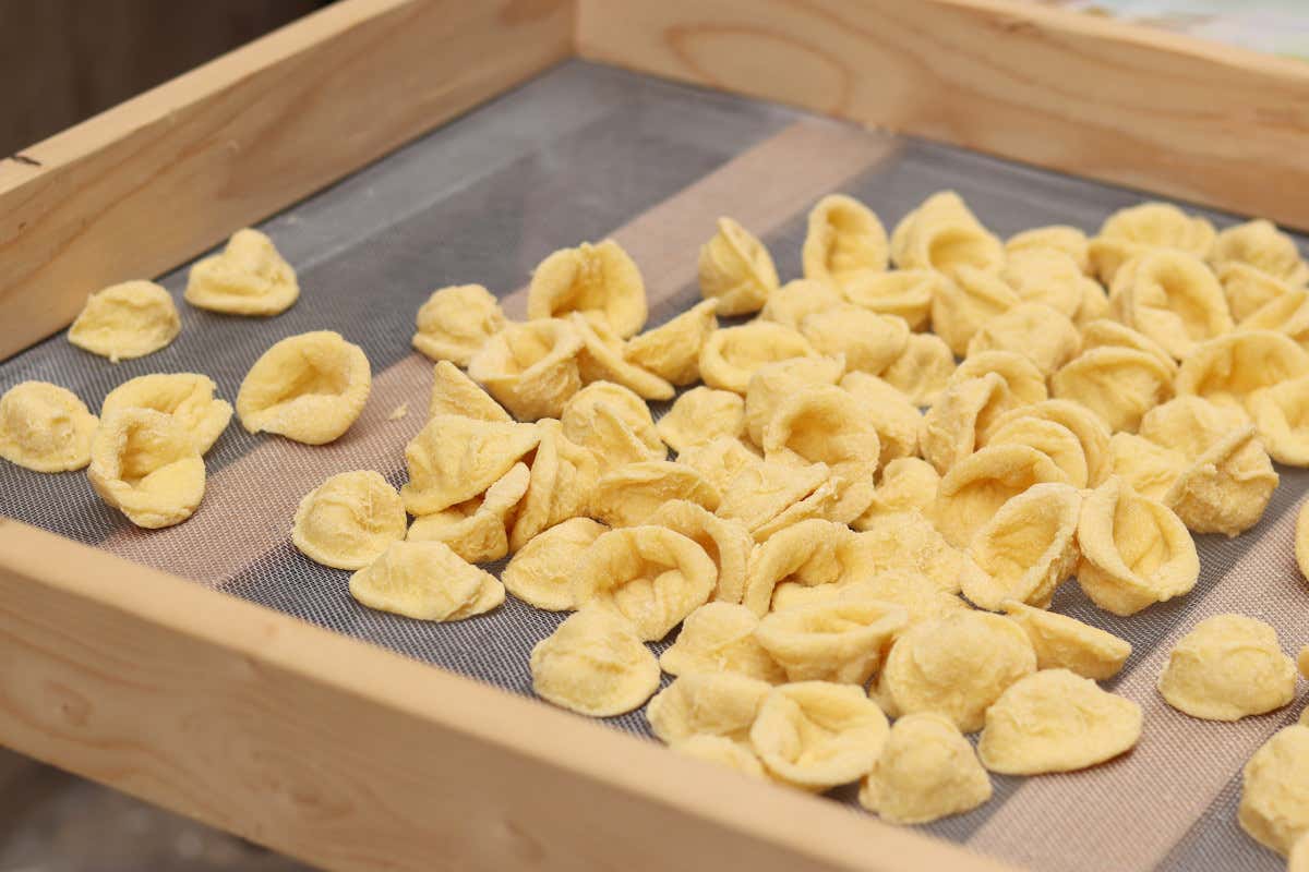 Le orecchiette contese: tra folklore e business Bari rischia di perdere la sua icona Le orecchiette contese: tra folklore e business Bari rischia di perdere la sua icona