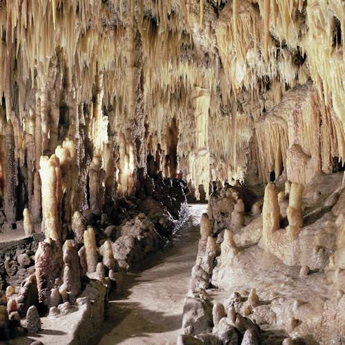 Grotte di Castellana