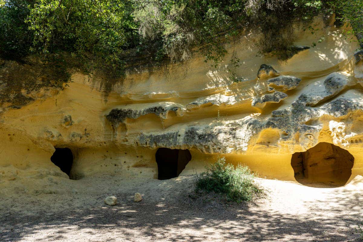 Costa degli Etruschi: un paradiso della natura e di borghi medievali da scoprire