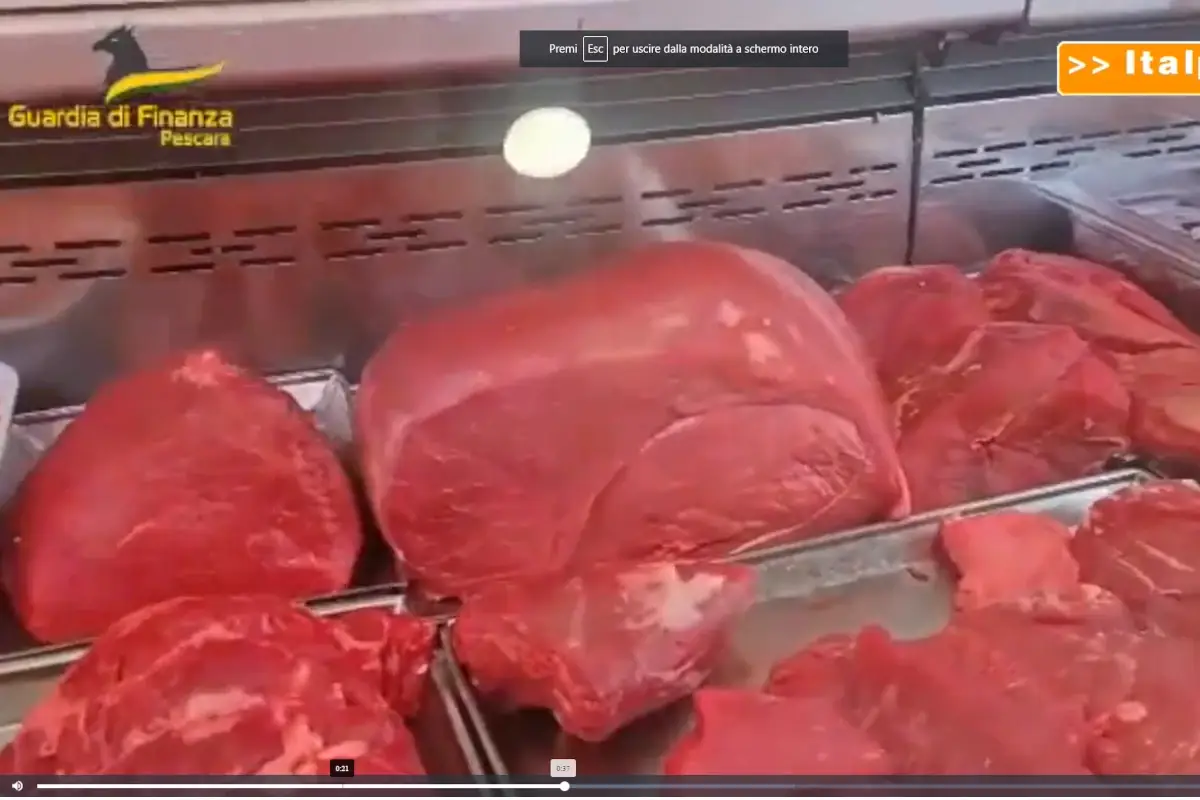 Immagine estrapolata dal video della Gdf di Pescara Maxi operazione della Finanza, sequestro da 3 milioni nel settore carni