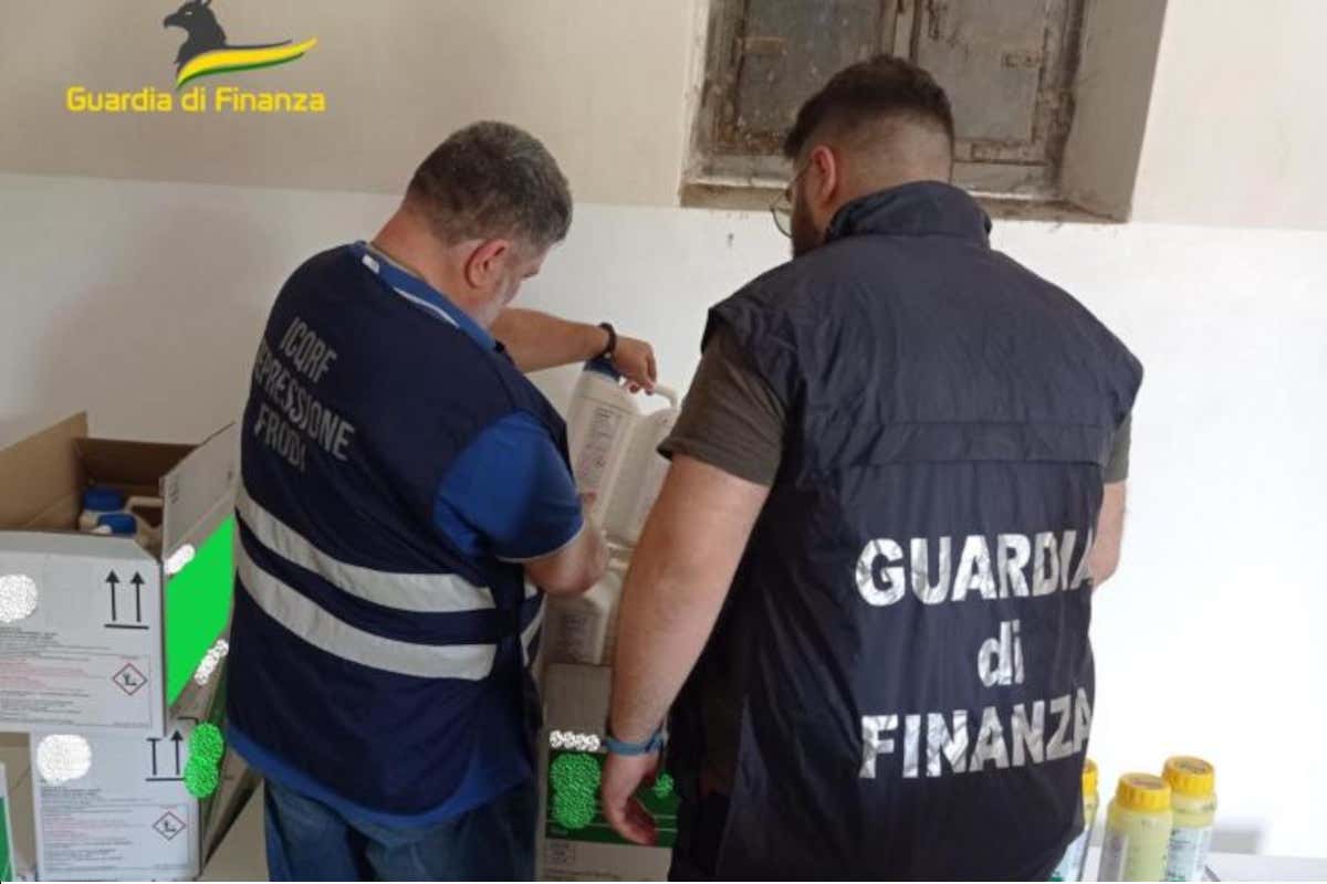 La maxi frode del riso biologico in Lomellina: era trattato con sostanze chimiche