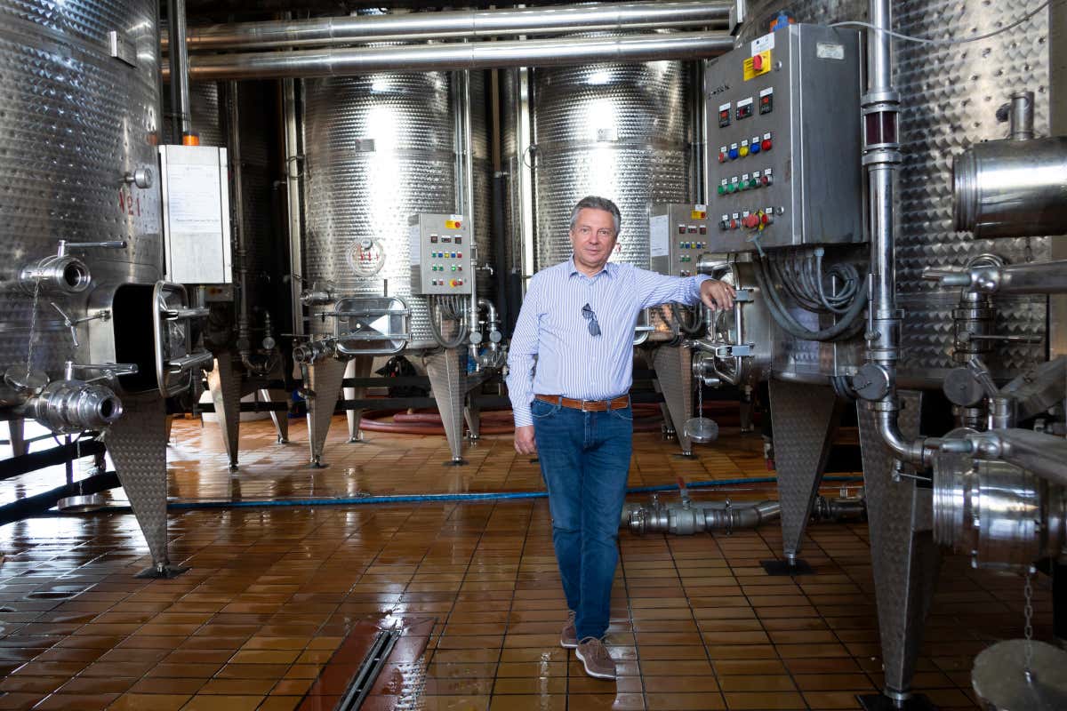 La Guardiense: dalla Falanghina al Fiano, un viaggio lungo 65 anni