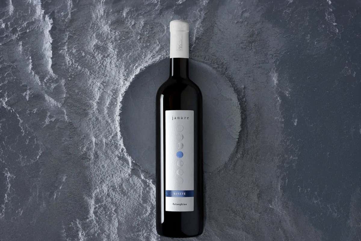 La Guardiense: dalla Falanghina al Fiano, un viaggio lungo 65 anni