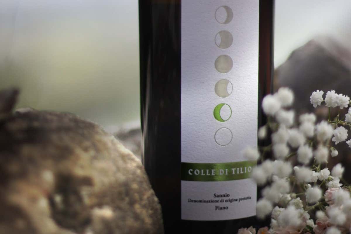 La Guardiense: dalla Falanghina al Fiano, un viaggio lungo 65 anni