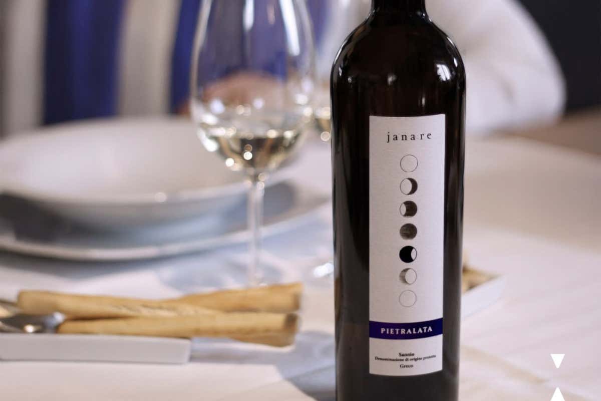 La Guardiense: dalla Falanghina al Fiano, un viaggio lungo 65 anni