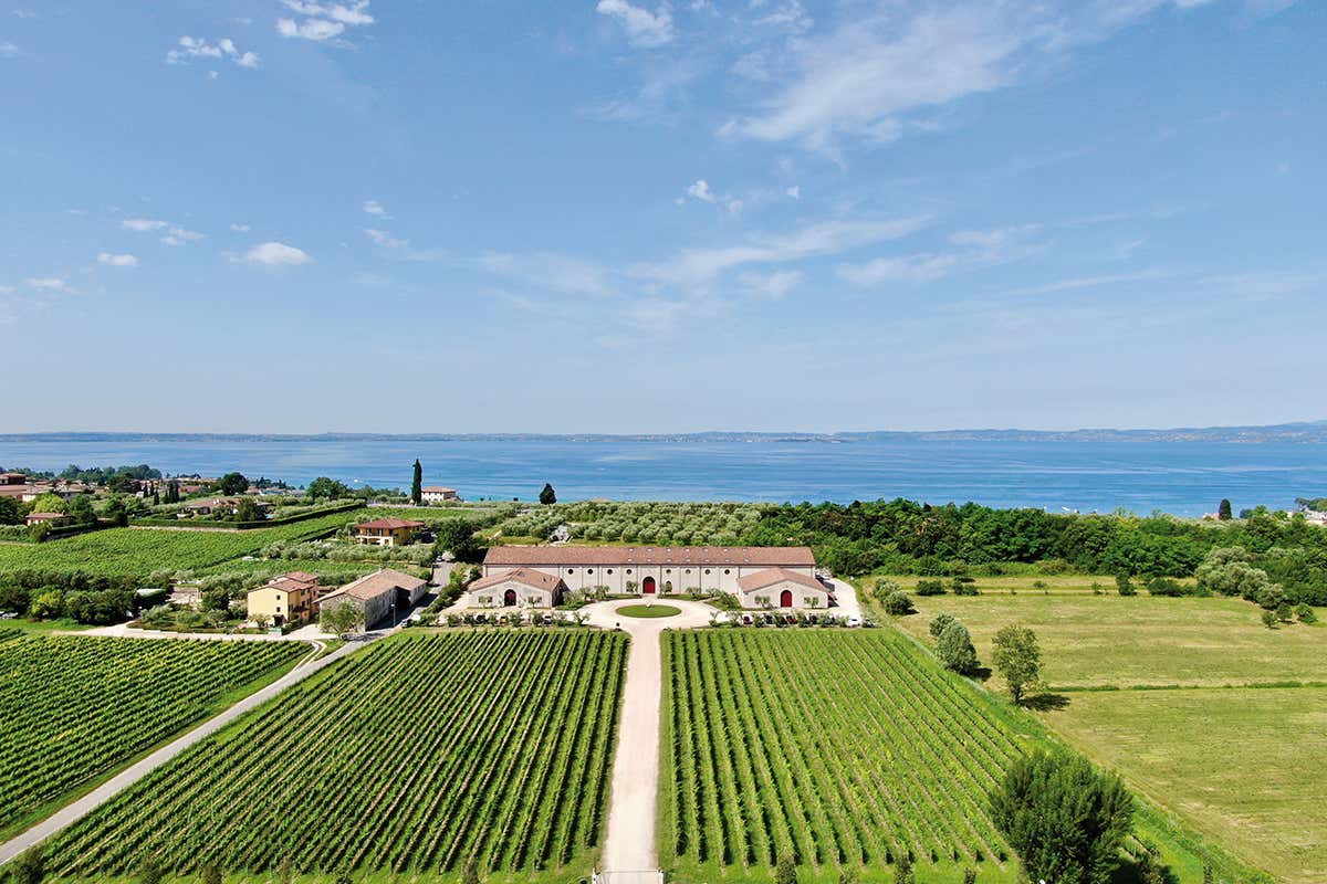La storia enologica della Guerrieri Rizzardi nasce intorno al 1910 Guerrieri Rizzardi, l’amore per il vino dal 1900 La storia enologica della Guerrieri Rizzardi nasce intorno al 1910 Guerrieri Rizzardi, l’amore per il vino dal 1900