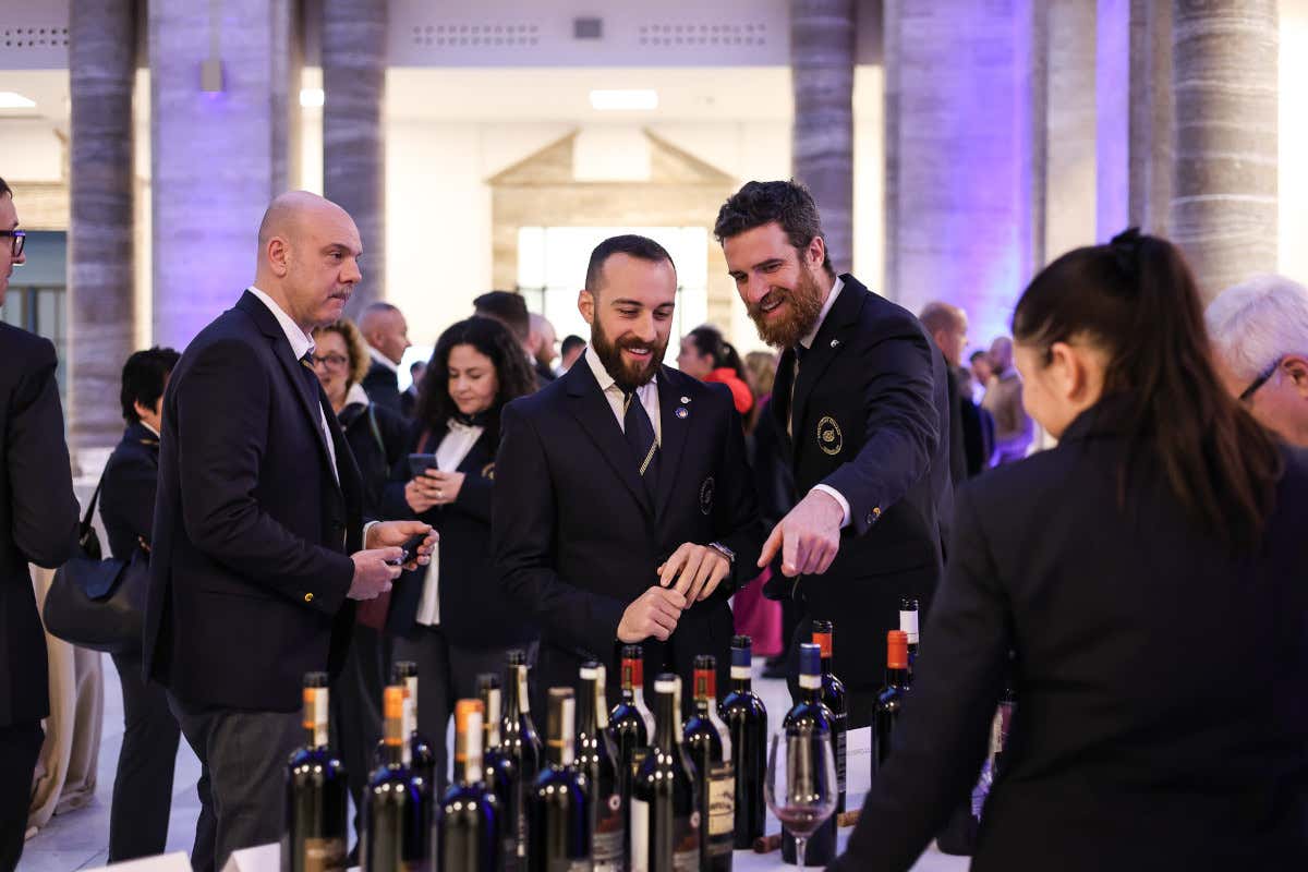 Guida Eccellenze di Toscana 2024: ecco gli 11 vini premiati da Ais