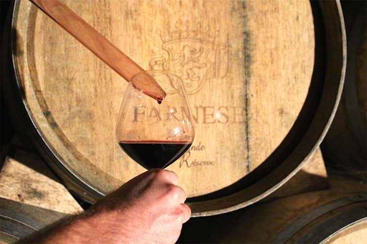 (Guide e concorsi premiano Farnese Tante soddisfazioni per i vini abruzzesi) (Guide e concorsi premiano Farnese Tante soddisfazioni per i vini abruzzesi)
