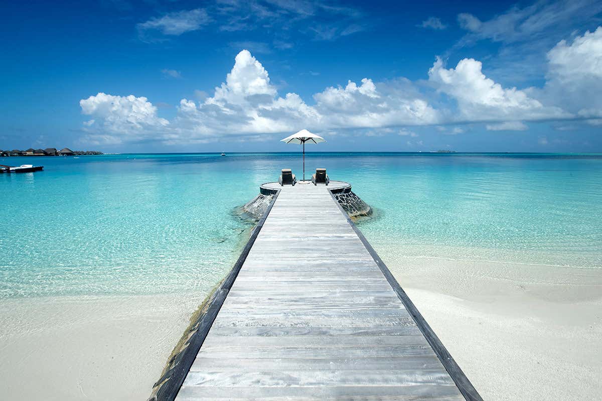 Le Maldive ispirano i sapori esotici di “Portobello e Guacamole”