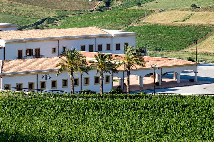 (Hedonis Feudo Arancio Un sorso di Sicilia) (Hedonis Feudo Arancio Un sorso di Sicilia)