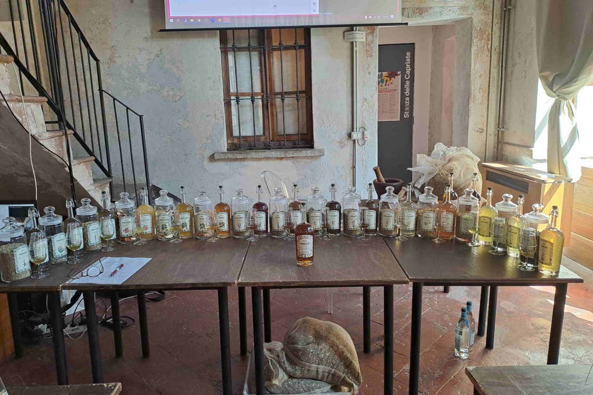 Herbalis: il nuovo amaro di Poli dal gusto mediterraneo e dalle proprietà benefiche