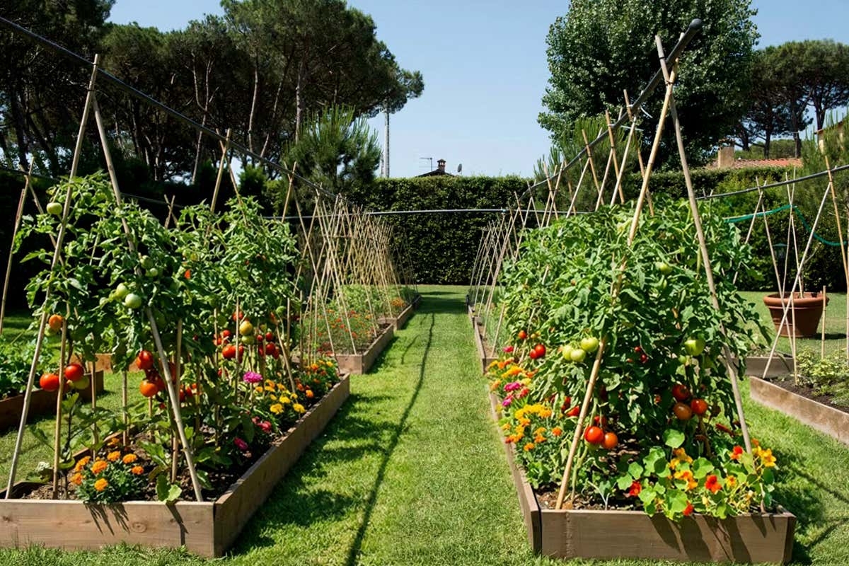 L'orto biologico dell’Hermitage Hotel & Resort di Forte dei Marmi (Lu)