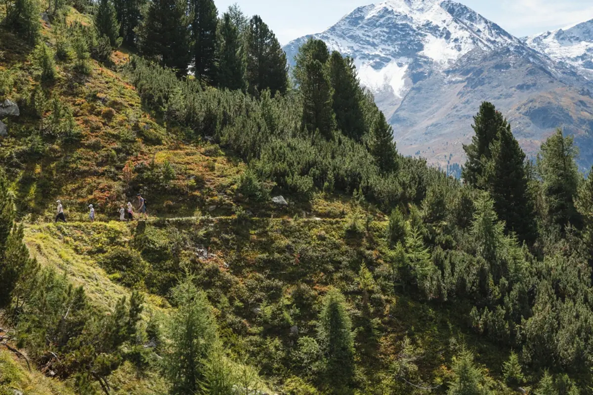 L&rsquo;autunno in Engadina tra boschi dorati e il via allo sci
