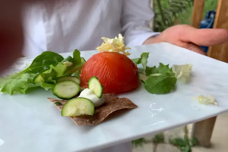 Ricotta con pomodori e Schuttelbrot (Herbert Hintner, Zur Rose *)&nbsp;&nbsp; L'Italia di Mancini va sulle stelle. Ecco come la celebrano gli stellati