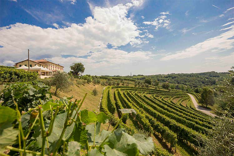 (Spumante Honor bianco e rosé per i 30 anni di Astoria) (Spumante Honor bianco e rosé per i 30 anni di Astoria)