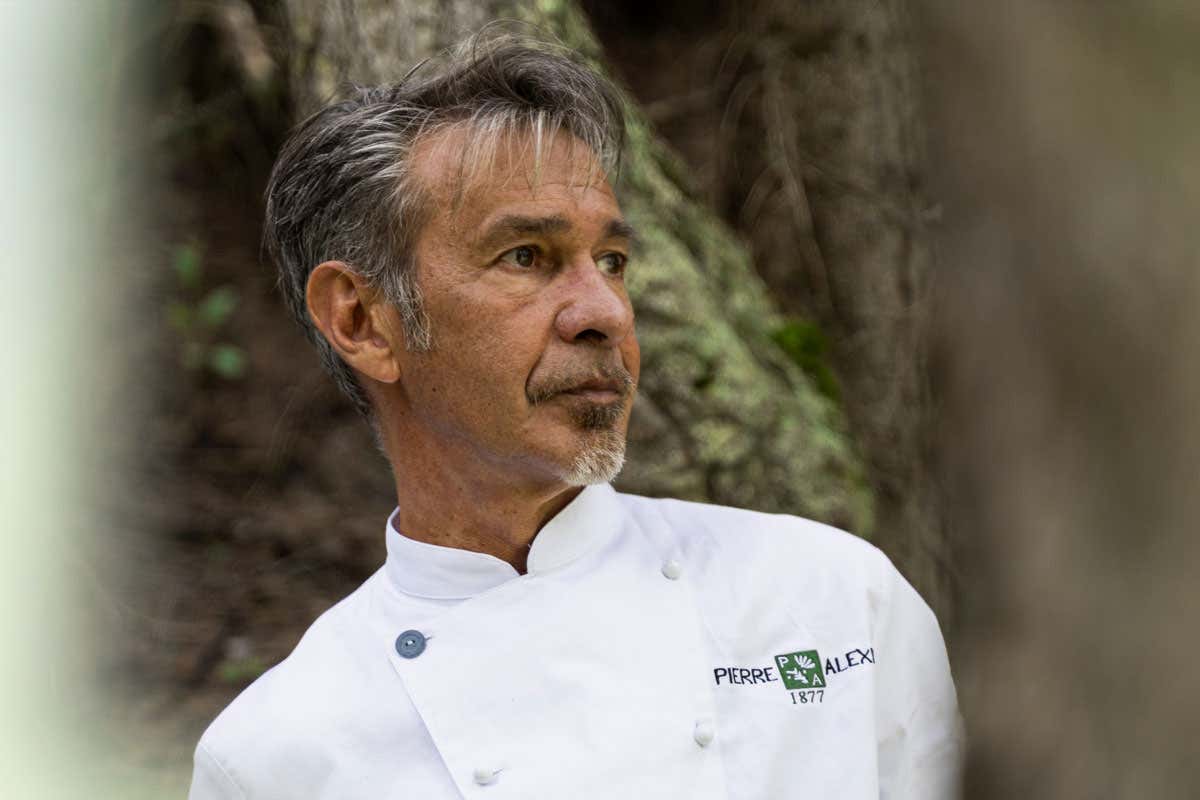 Mangiare cucina selvatica tra erbe spontanee e sapori audaci a Courmayeur Mangiare cucina selvatica tra erbe spontanee e sapori audaci a Courmayeur