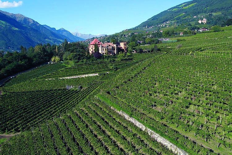 (Vacanze a tema wine all’Hotel Terme Merano)