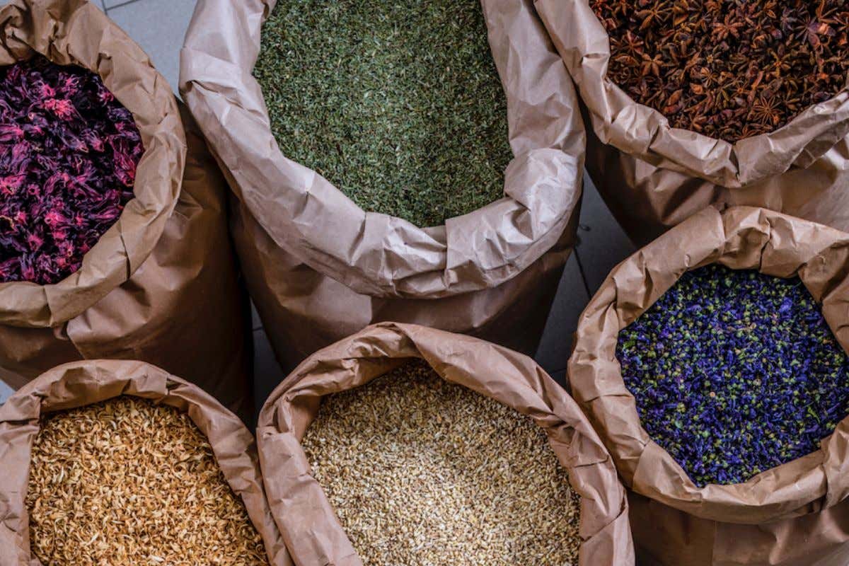 Dalla terra alla bellezza: l'innovazione dei cosmetici sostenibili negli hotel