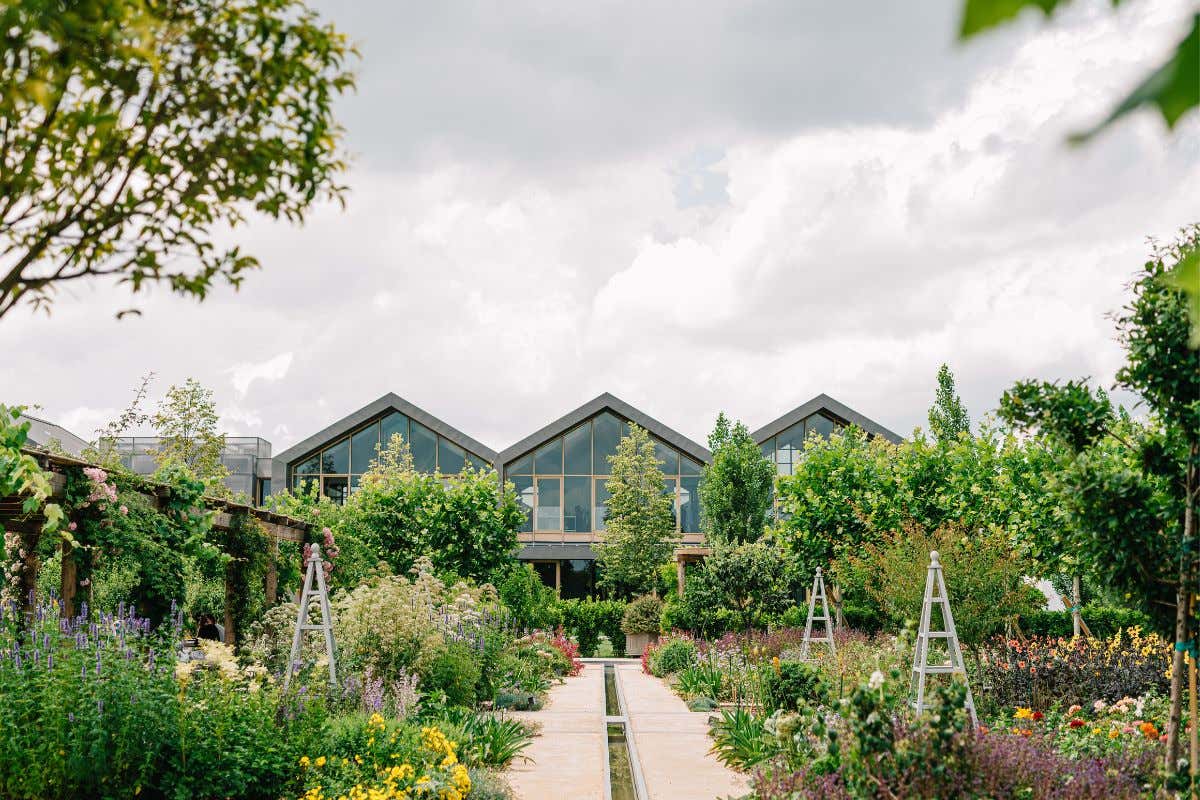 Dalla terra alla bellezza: l'innovazione dei cosmetici sostenibili negli hotel