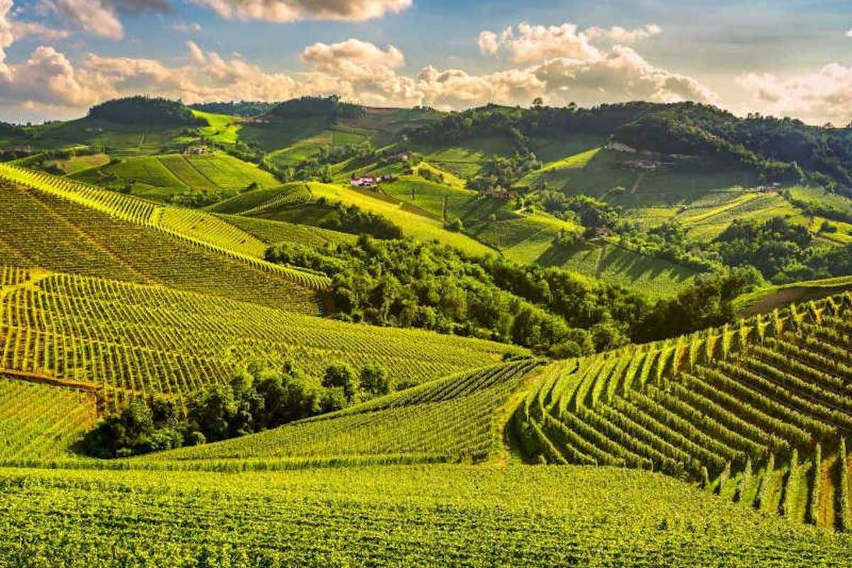 Estate in bici? Ecco i nuovi Luxury Bike Hotels in Piemonte, Abruzzo e Puglia