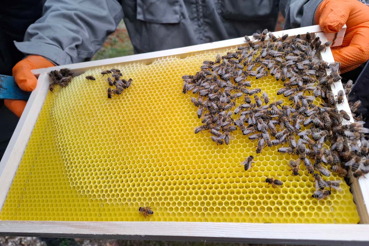 Sonnalp, un hotel gourmet a conduzione familiare al cospetto del Latemar Sonnalp, un hotel gourmet a conduzione familiare al cospetto del Latemar