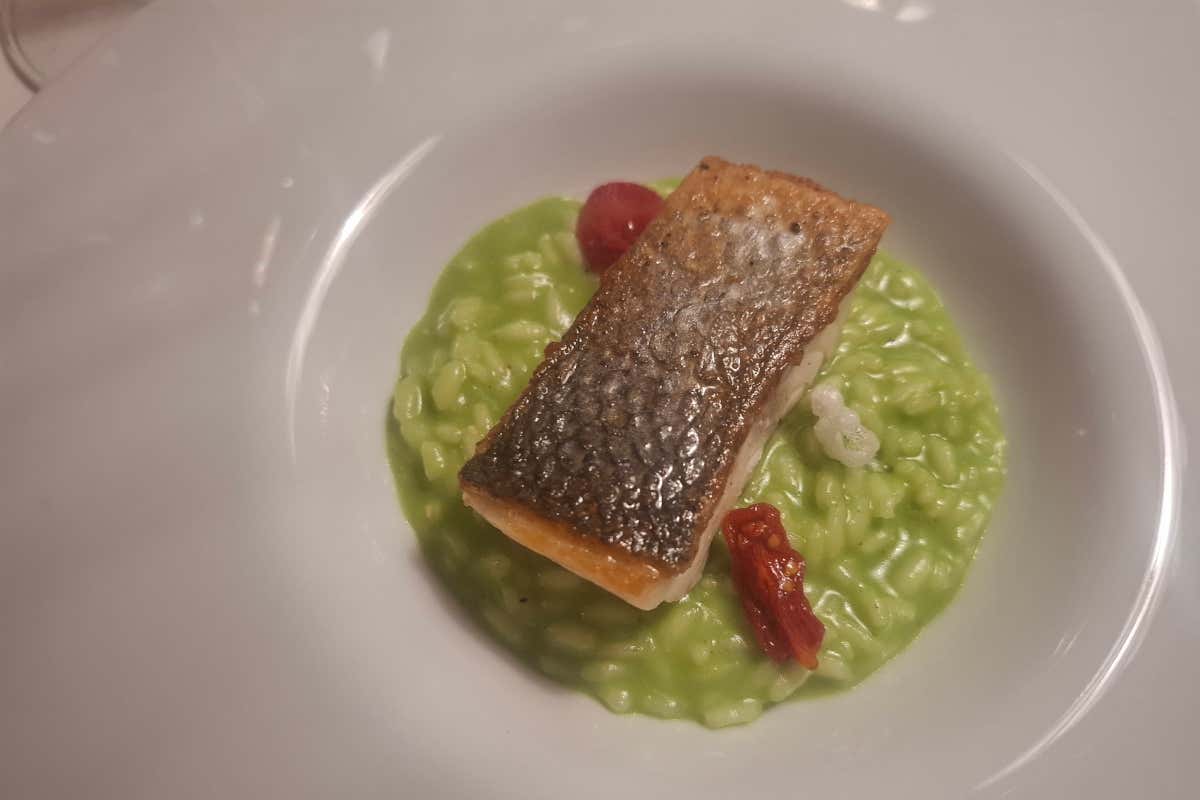 Sonnalp, un hotel gourmet a conduzione familiare al cospetto del Latemar Sonnalp, un hotel gourmet a conduzione familiare al cospetto del Latemar