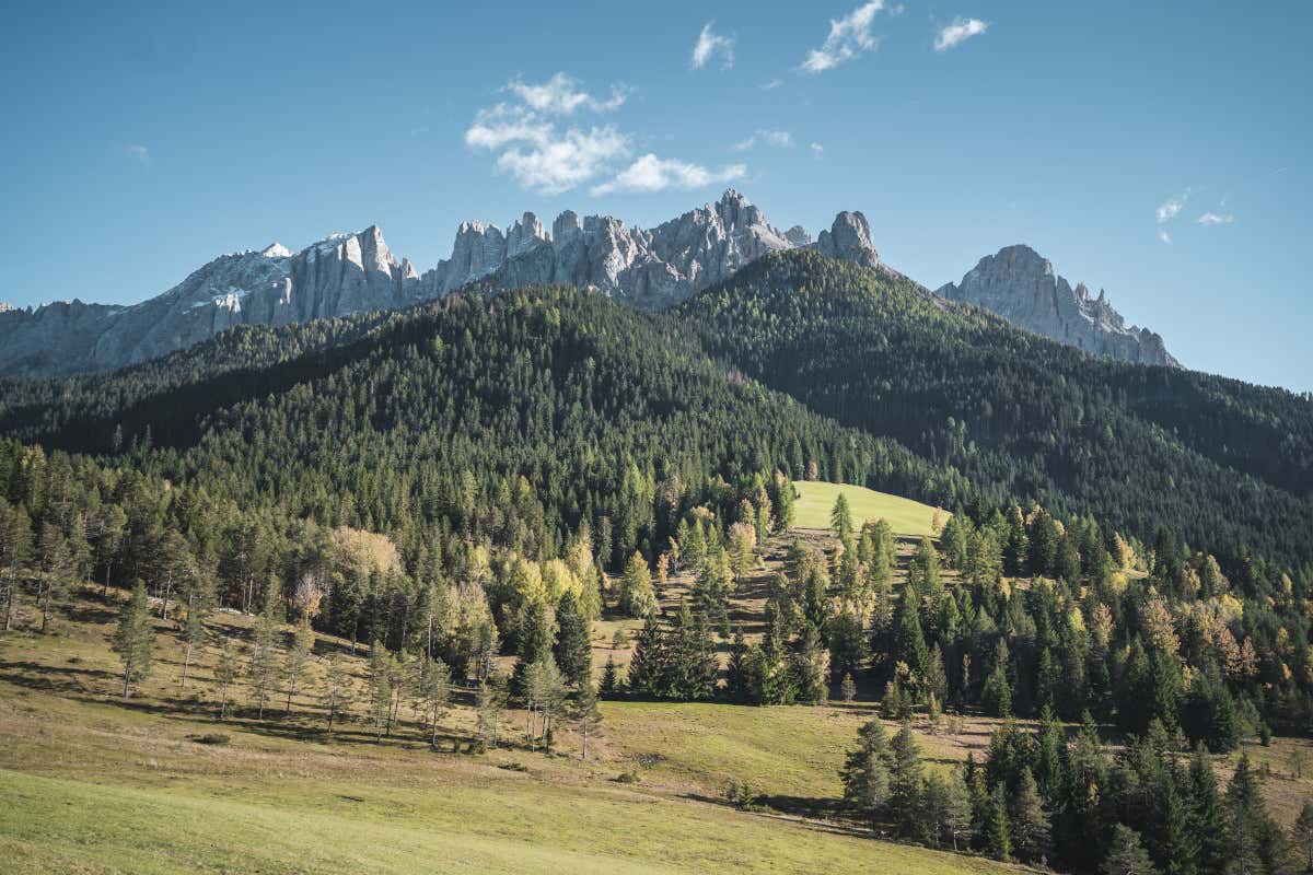 Sonnalp, un hotel gourmet a conduzione familiare al cospetto del Latemar Sonnalp, un hotel gourmet a conduzione familiare al cospetto del Latemar