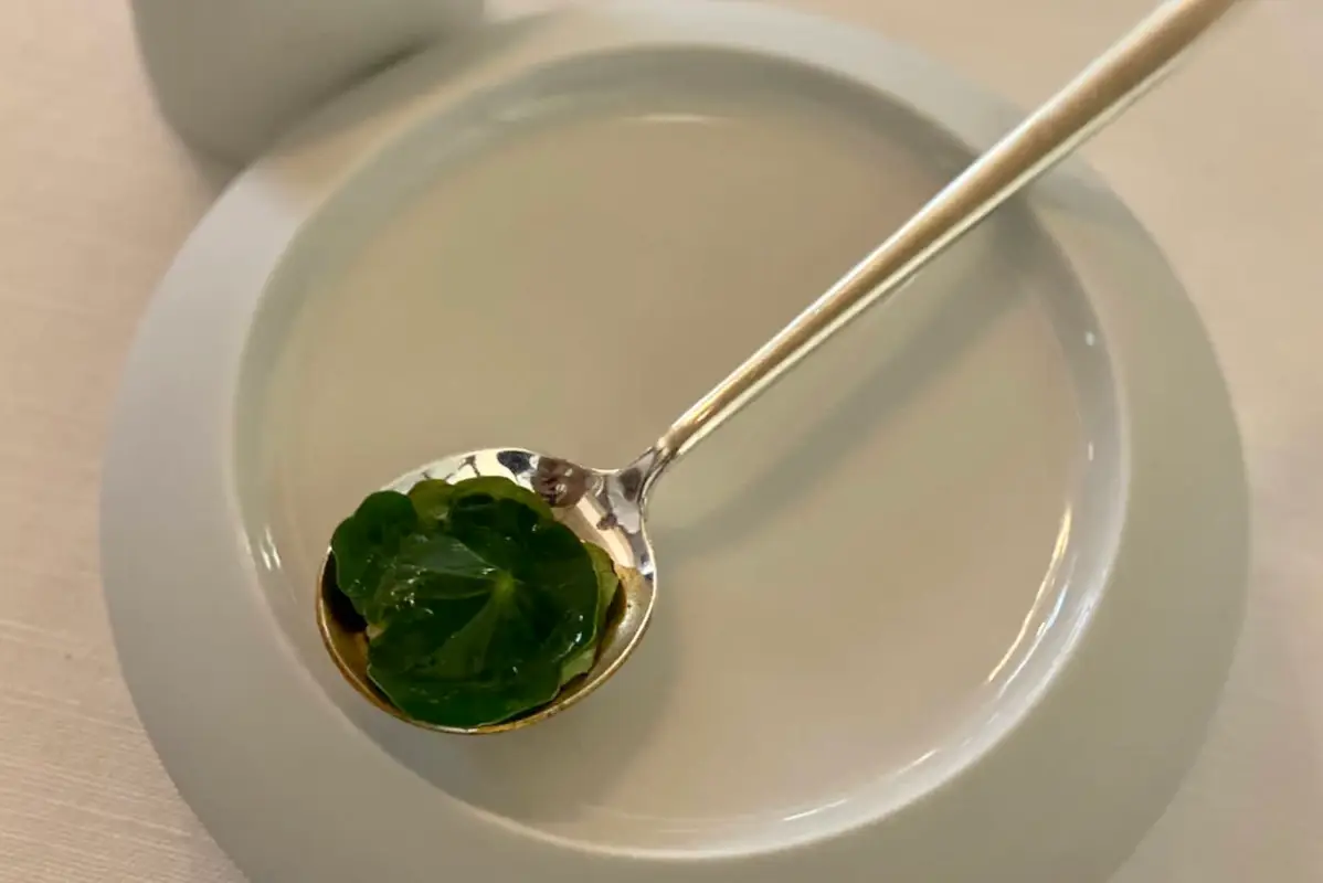 Le creazioni dello chef Ristorante Agostino Iacobucci: l'innovazione dai sapori antichi guidata dal cuore DA FINIRE