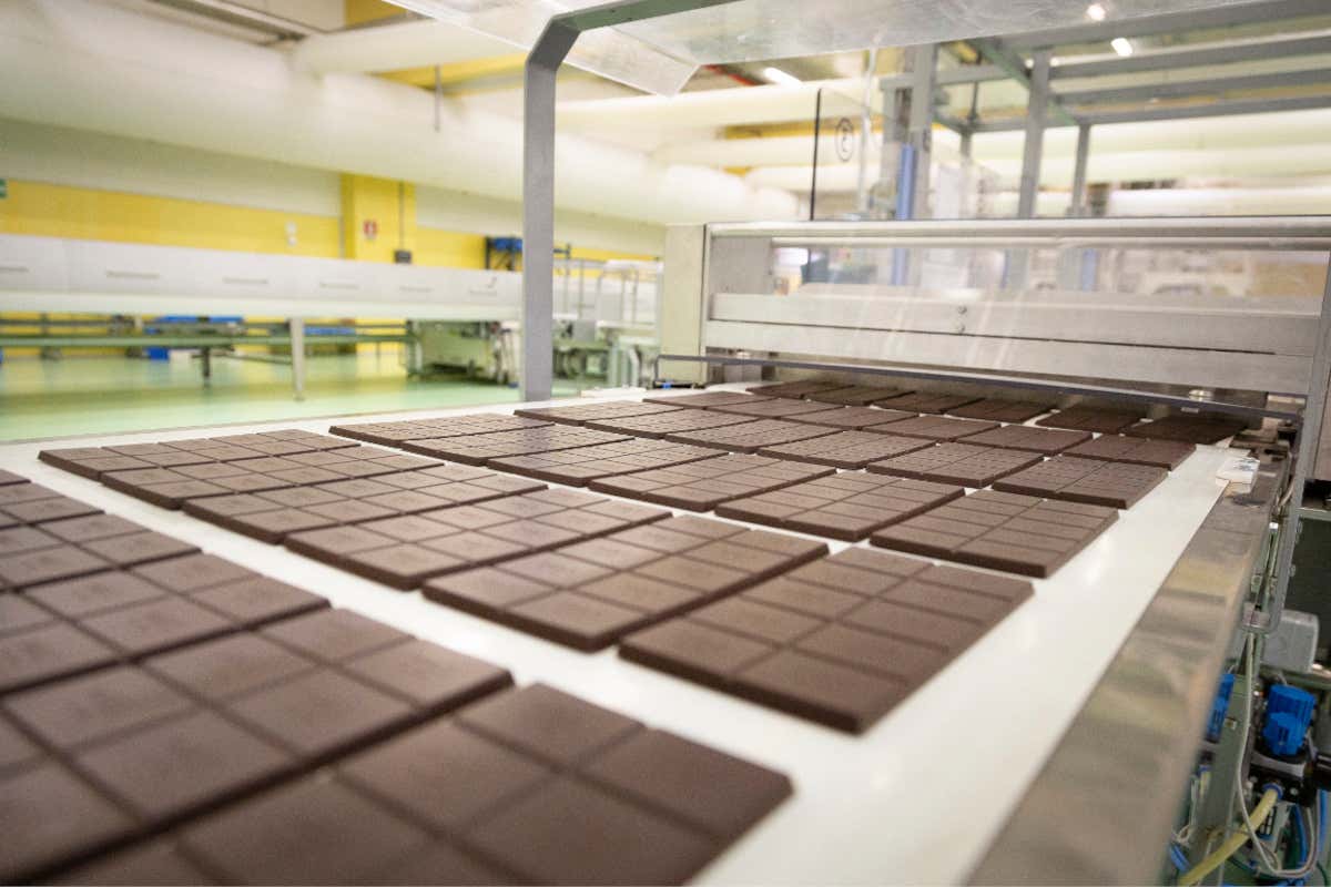Icam cresce del 35% e rafforza ulteriormente la filiera del cacao Icam cresce del 35% e rafforza ulteriormente la filiera del cacao