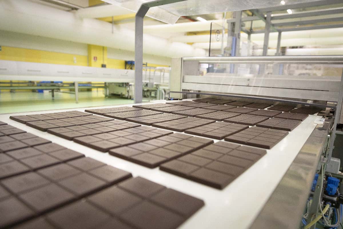 Nuove origini per Icam: da India e Bolivia cioccolati per i professionisti Nuove origini per Icam: da India e Bolivia cioccolati per i professionisti