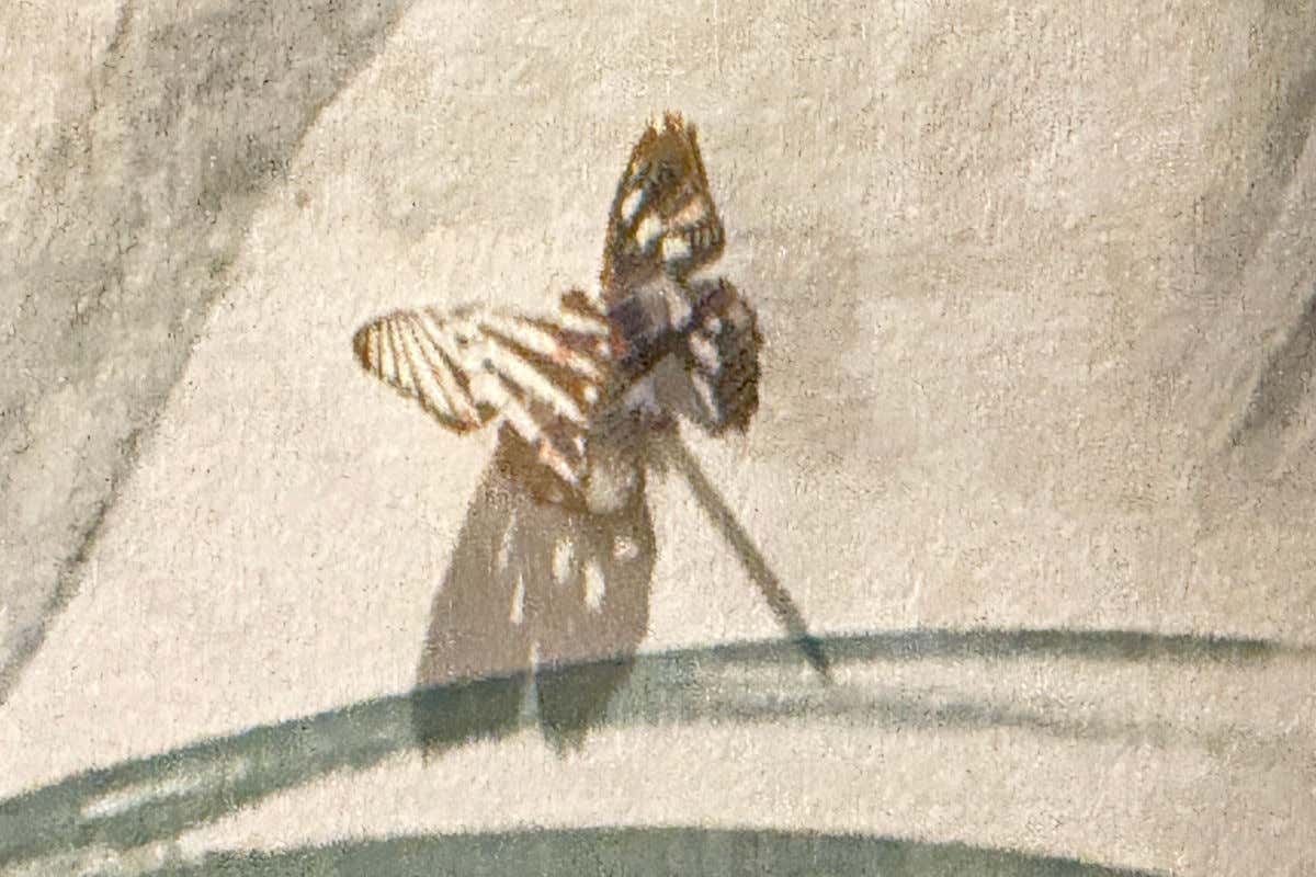 Idylio by Apreda: perchè piace la nuova rotta delle spezie a due passi dal Pantheon