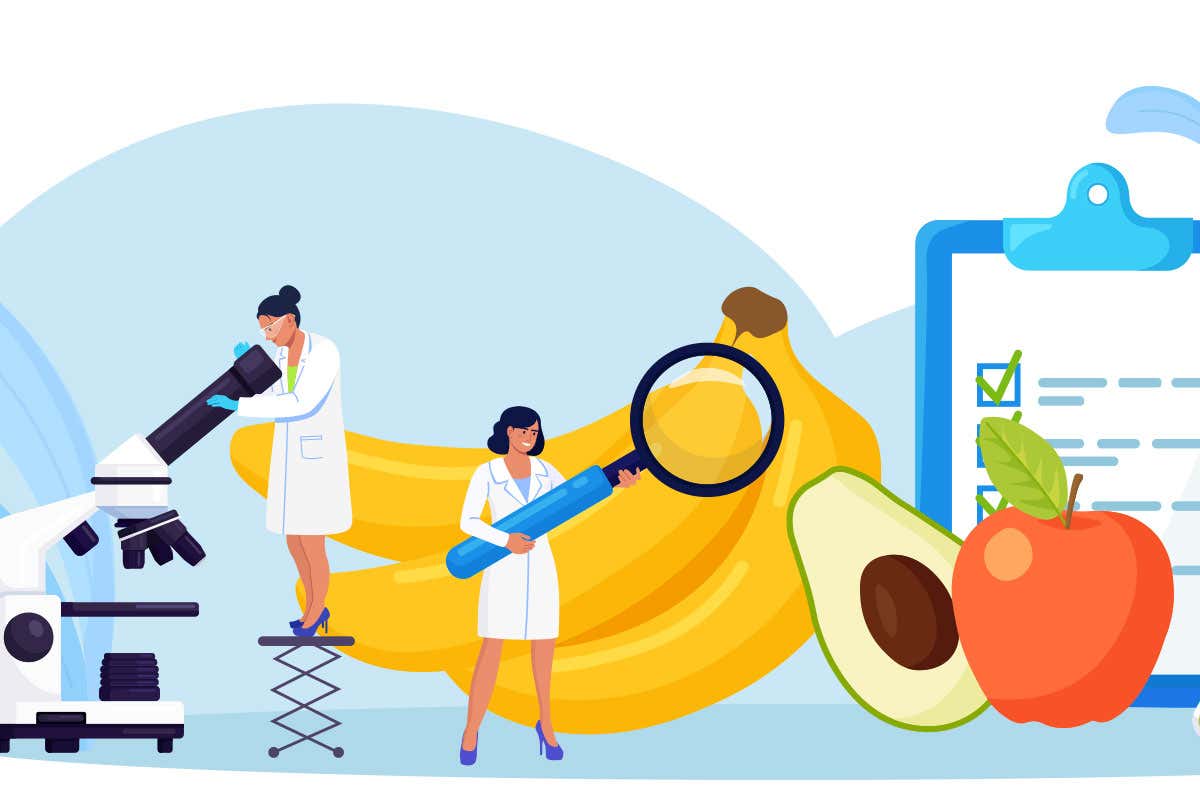 Sicurezza alimentare: come prevenire i pericoli su tutta la filiera Sicurezza alimentare: come prevenire i pericoli su tutta la filiera