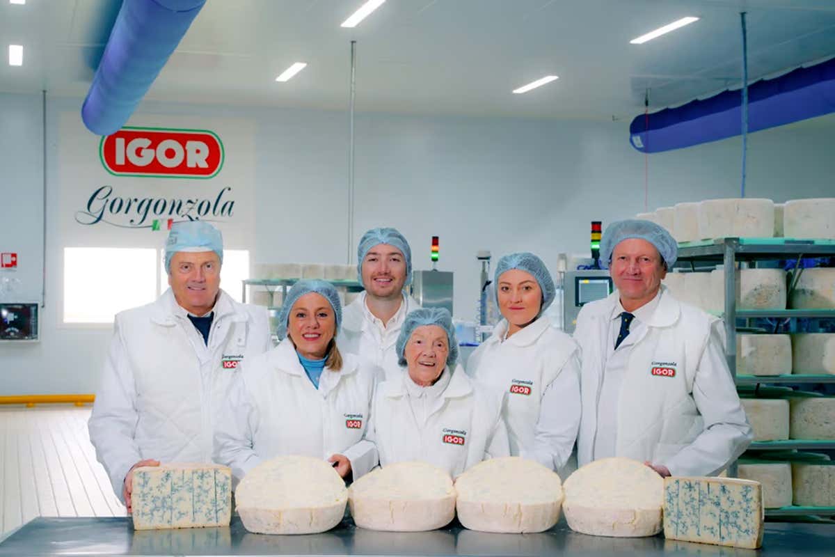 Nasce il nuovo impianto che trasforma il siero del Gorgonzola in integratori Nasce il nuovo impianto che trasforma il siero del Gorgonzola in integratori