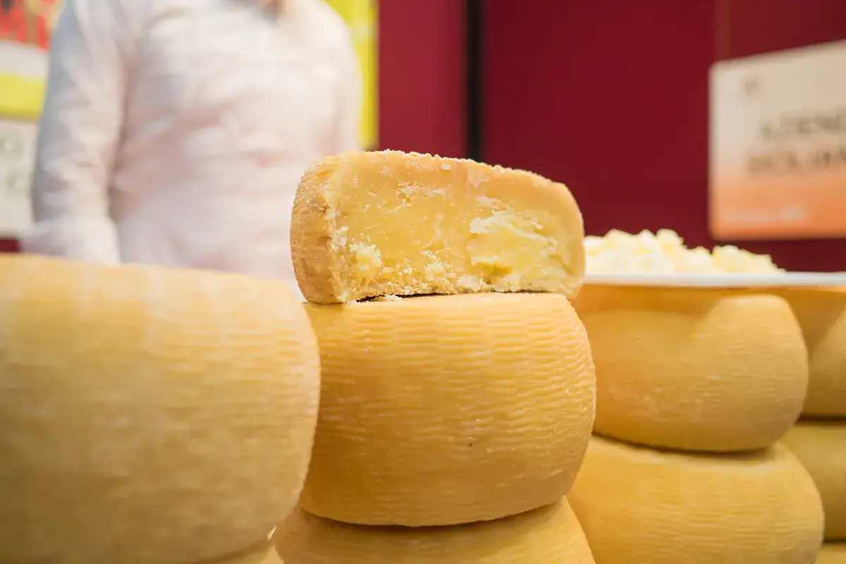  il BonT&agrave;, salone delle eccellenze enogastronomiche Dal 26 al 28 novembre, tutte le vie del gusto si incrociano a Cremona con il BonT&agrave;
