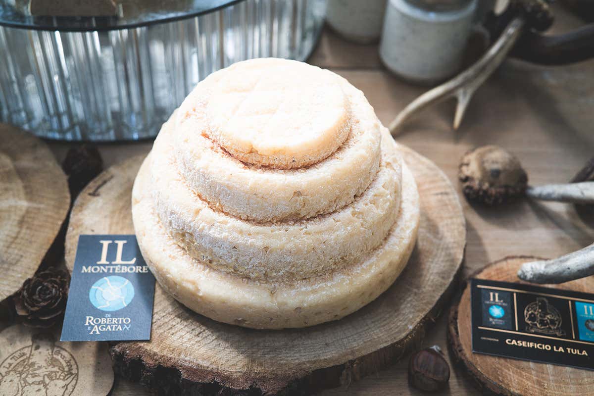 Derthona, l’anima bianca dei Colli Tortonesi che guarda al mondo